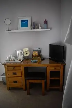 Tek Kişilik Oda, Özel Banyo (Ash)