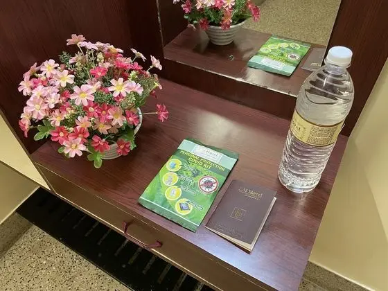 Deluxe Oda, 1 Yatak Odası, Sigara İçilmez, Şehir Manzaralı (Airconditioned)