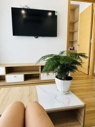 Televizyon