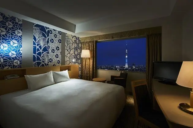 Superior Tek Büyük Yataklı Oda, Sigara İçilmez (SKYTREE View)