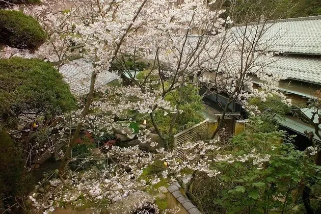 Standard İki Ayrı Yataklı Oda (Chikyu)