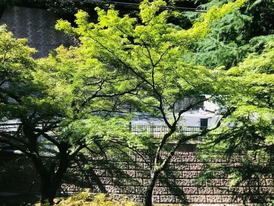 Superior İki Ayrı Yataklı Oda (Japanese-Style "Chuyoh")
