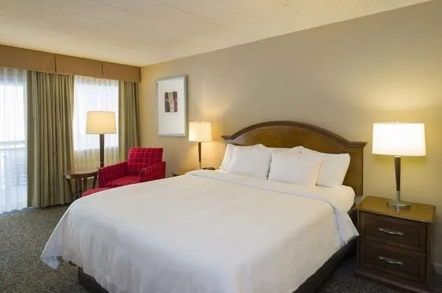 ADA Accessible, Standard Room, 1 King Bed, Roll-in Shower