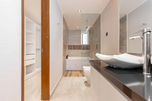 Deluxe Çatı Katı Süiti (Penthouse)
