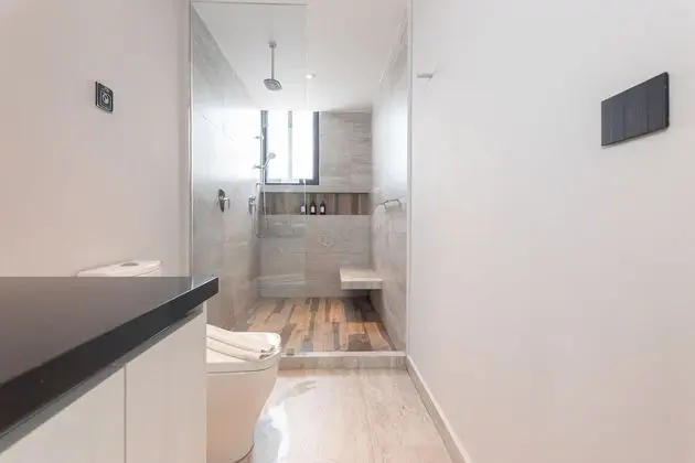 Deluxe Çatı Katı Süiti (Penthouse)