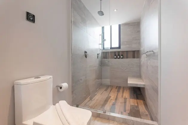Deluxe Çatı Katı Süiti (Penthouse)
