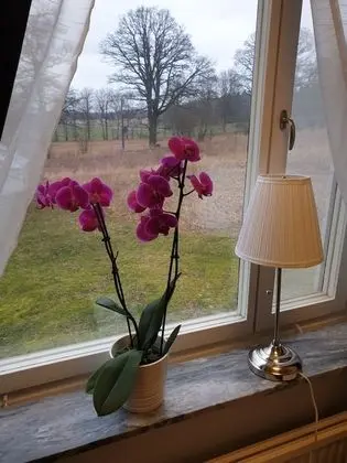 Tek Kişilik Oda, Özel Banyo