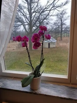 Tek Kişilik Oda, Özel Banyo