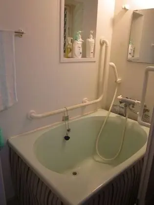 Ev