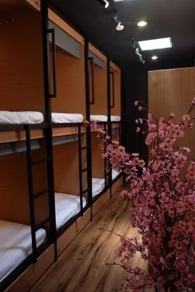 Basic Ortak Ranzalı Oda, Karma Ranzalı Oda