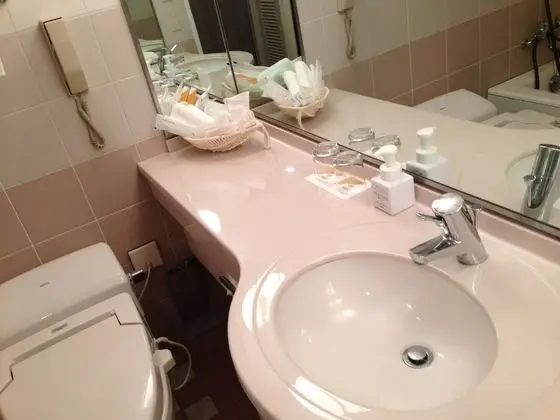 Standard İki Ayrı Yataklı Oda, Birden Çok Yatak, Sigara İçilebilir