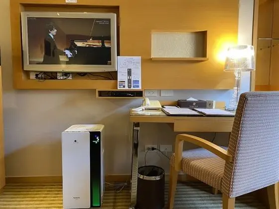 Luxury Tek Büyük Yataklı Oda