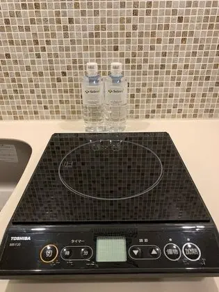 Tek Büyük Yataklı Oda, Sigara İçilmez (With Mini Kitchen)