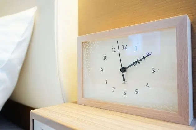 Comfort Tek Büyük Yataklı Oda, Sigara İçilmez (For 2 people)