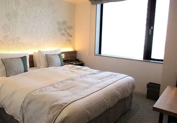 Tek Büyük Yataklı Oda, Sigara İçilmez (Residential)
