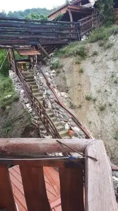 Family Oda, Birden Çok Yatak
