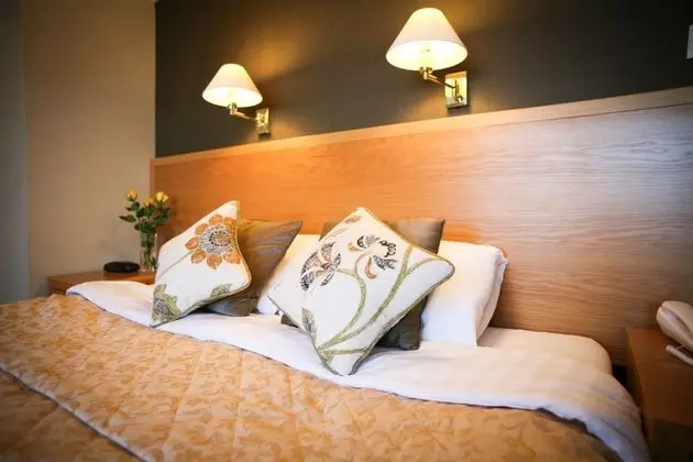 Deluxe Tek Büyük veya İki Ayrı Yataklı Oda, Banyolu/Duşlu