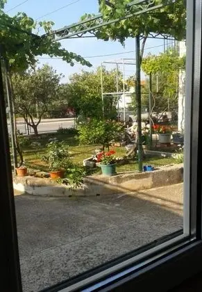 Ev (Tomislav - 100 m from sea - H(4+2))