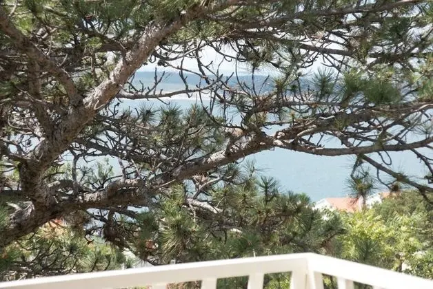 Apart Daire (Tomislav - A2 crveni(4+1))