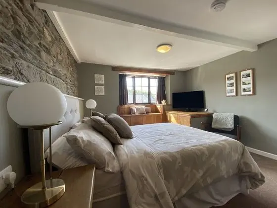 Deluxe Tek Büyük Yataklı Oda, Banyolu/Duşlu, Bahçe Manzaralı