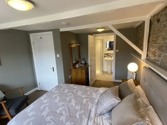 Deluxe Tek Büyük Yataklı Oda, Banyolu/Duşlu, Bahçe Manzaralı