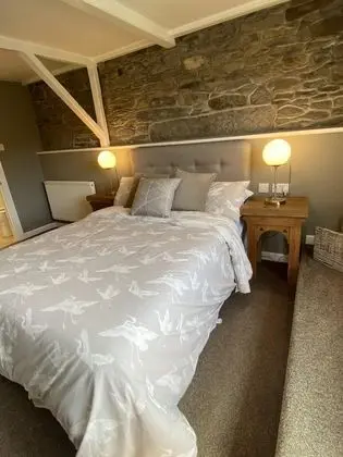 Deluxe Tek Büyük Yataklı Oda, Banyolu/Duşlu, Bahçe Manzaralı