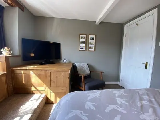 Deluxe Tek Büyük Yataklı Oda, Banyolu/Duşlu, Bahçe Manzaralı
