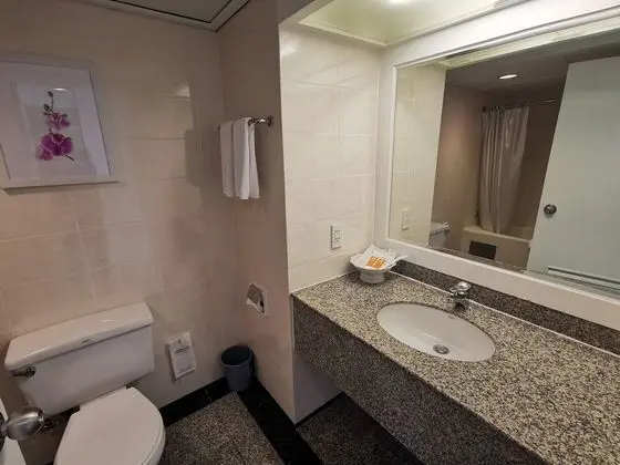 Superior Oda, Şehir Manzaralı