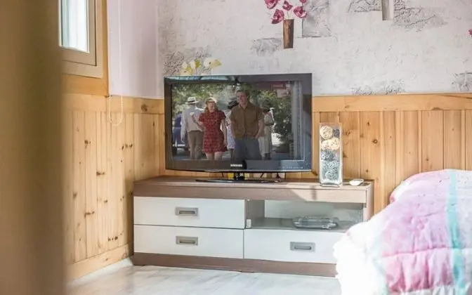 Oda (202 forget-me-not)