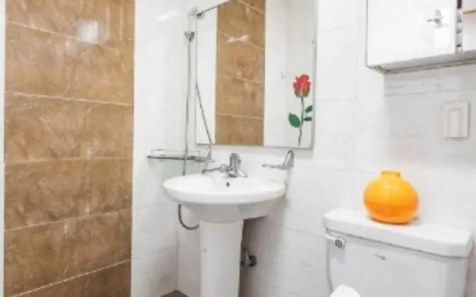 Oda (202 forget-me-not)