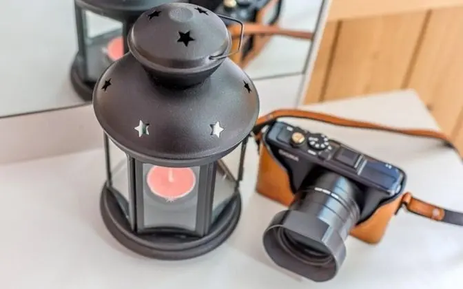 Oda (202 forget-me-not)