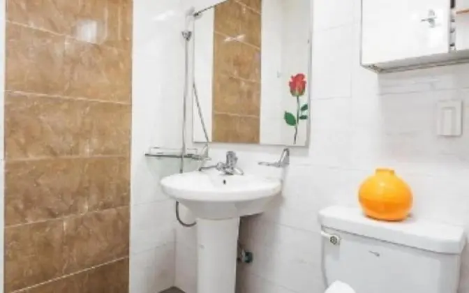 Oda (202 forget-me-not)