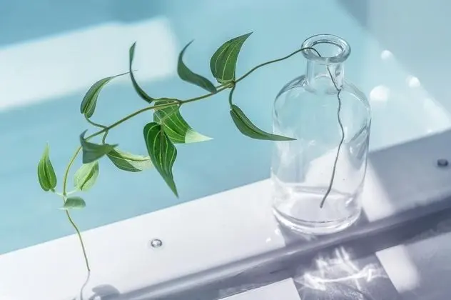 Basic Oda, 2 Yatak Odası (Twinbokcheng505)