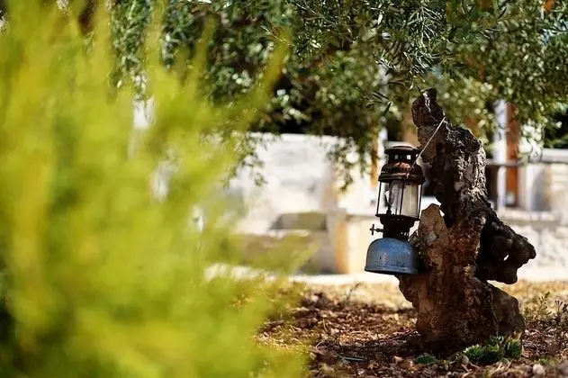 Ev (Toni - luxurious and fully equipped -)