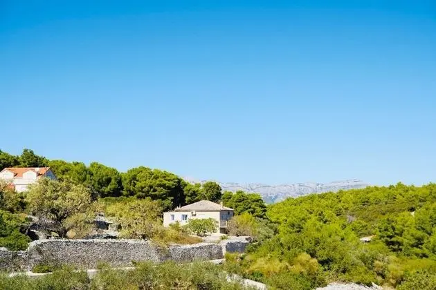 Apart Daire (Two Bedroom Apartment with Terrace A1)