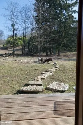 Kulübe, Sigara İçilmez (Pinot Noir)