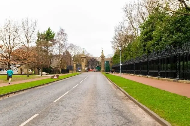 Basic Tek Büyük Yataklı Oda