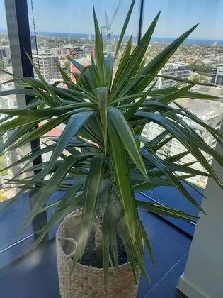 Apart Daire (Top Floor Stunning Views)