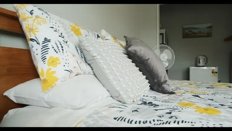 Superior Tek Büyük Yataklı Oda, 1 Büyük (Queen) Boy Yatak (Room 3)