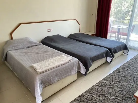 Classic Room, 3 Twin Beds, Smoking, Pool View