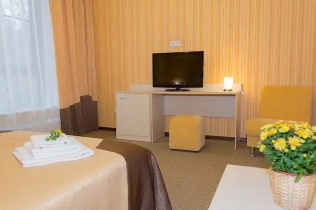 Premium Tek Büyük Yataklı Oda (Forest View)