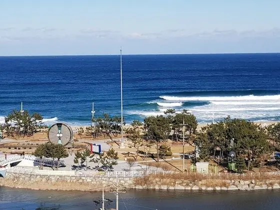 Tek Büyük Yataklı Oda, Okyanus Manzaralı (B - High floor)