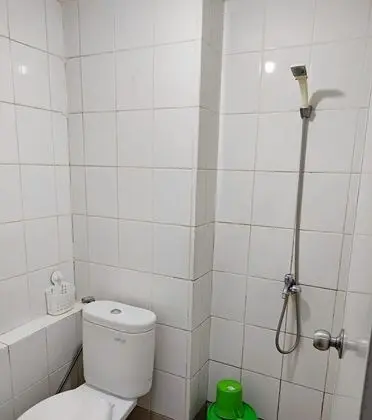 Basic Stüdyo