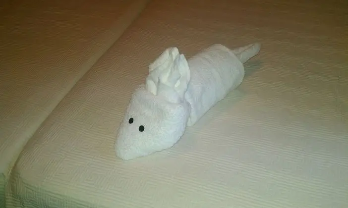 Premium Tek Büyük Yataklı Oda, 1 Yatak Odası, Engellilere Uygun, Sigara İçilmez