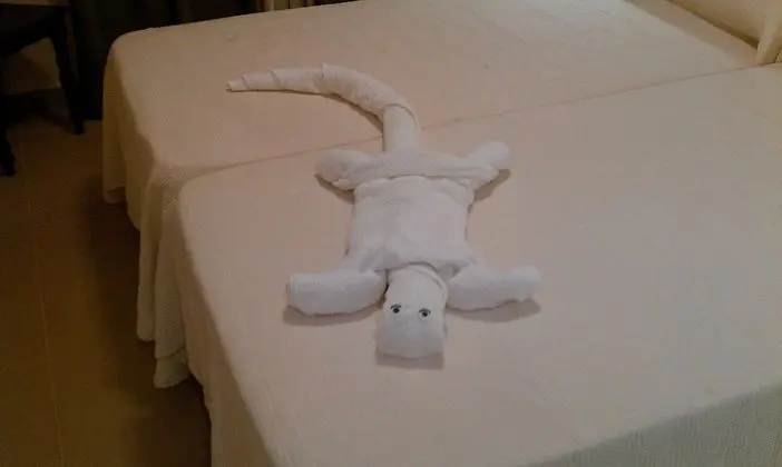 Premium Tek Büyük Yataklı Oda, 1 Yatak Odası, Engellilere Uygun, Sigara İçilmez