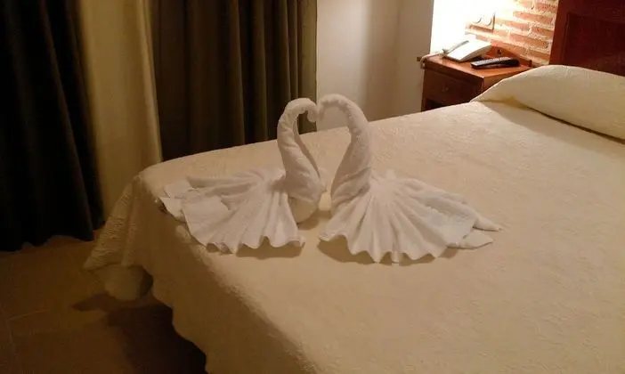 Premium Tek Büyük Yataklı Oda, 1 Yatak Odası, Engellilere Uygun, Sigara İçilmez