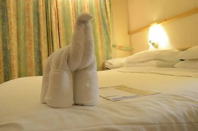 Premium Tek Büyük Yataklı Oda, 1 Yatak Odası, Engellilere Uygun, Sigara İçilmez