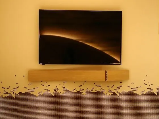 İki Ayrı Yataklı Oda (Japanese Style)