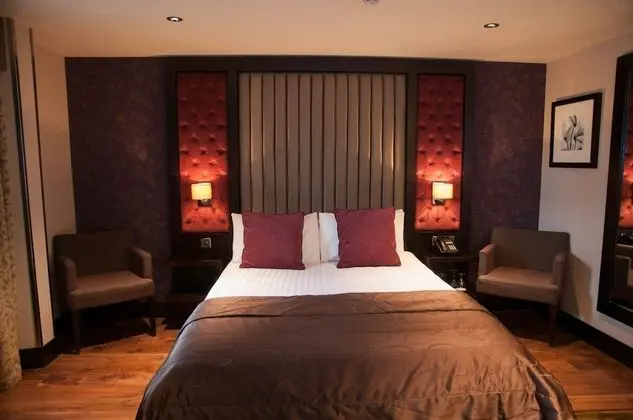 Standard Tek Büyük Yataklı Oda, 1 Çift Kişilik Yatak