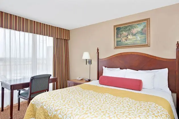 1 Çift ​​kişilik Yatak King Size Bed